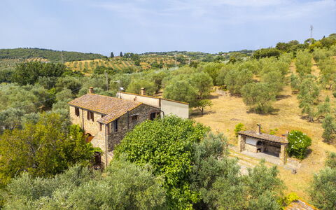 Casale delle Lupe, Campiglia Marittima: Grass, Tree, Shrub, Rural Area, Plant Community, Land Lot, Estate, Cottage, Village