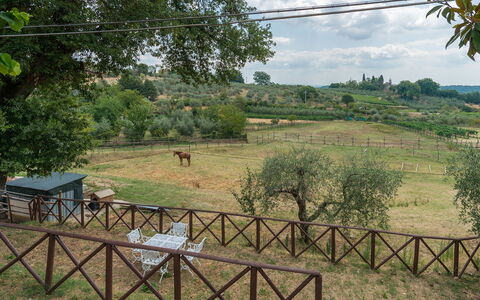 Casa Elia 6: Tree, Plain, Rural Area, Fence, Pasture, Home Fencing, Park, Farm, Ranch