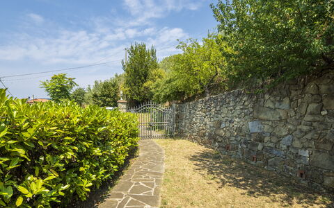La Casina: Green, Shrub, Garden, Stone Wall, Sunlight, Hedge, Landscaping, Walkway, Fence, Flagstone