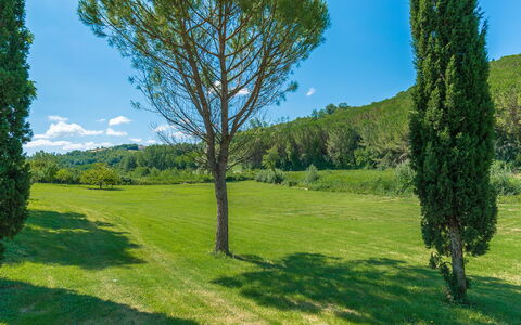 La Casa Dell'Artista 6: Green, Leaf, Grass, Natural Environment, Nature, Vegetation, Natural Landscape, Grassland, Shrub, Landscape