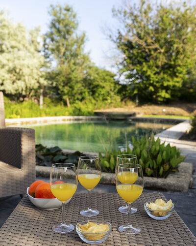 Villa Ninfeo 10+4: Swimming Pool, Outdoor Furniture, Furniture, Garden, Chair, Sunlounger, Outdoor Table, Resort, Landscaping, Shade
