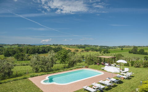 Poggio Vistabella 10: Swimming Pool, Meadow, Estate, Lawn, Plantation, Farmhouse, Farm, Agriculture, Villa, Hacienda