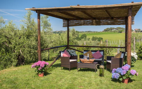 Poggio Vistabella 10: Garden, Furniture, Gazebo, Pavilion, Outdoor Furniture, Outdoor Structure, Shade, Pergola, Backyard