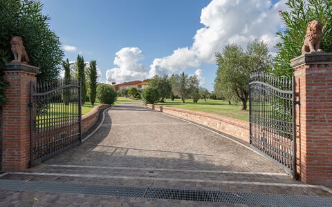 Villa Gabri 8: Brick, Brickwork, Driveway, Garden, Estate, Gate, Landscaping, Walkway, Fence, Path