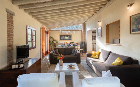 Buca delle Fate 8: Furniture, Couch, Interior Design, Wall, Flooring, Wood, Floor, Living Room, Ceiling, Room