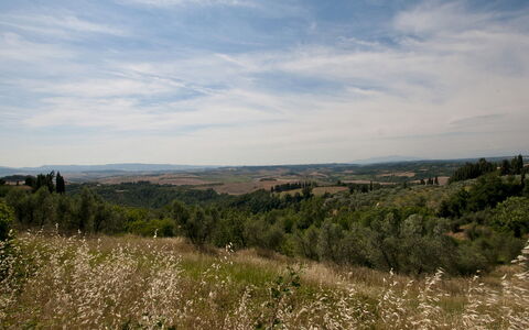 Frantusa 6+2: Green, Natural Environment, Vegetation, Natural Landscape, Ecoregion, Grassland, Horizon, Plant Community, Landscape, Hill