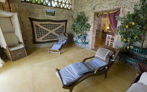 Casabianca 12: Furniture, Interior Design, Flooring, Floor, Chair, Room, Living Room, Natural Material, Houseplant, Coffee Table