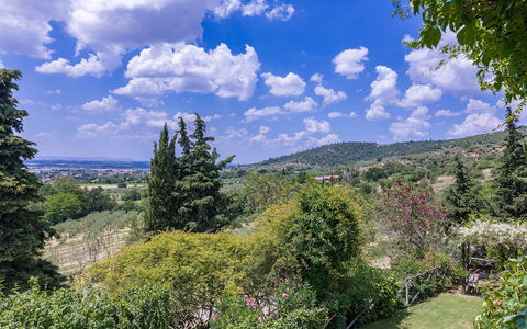I Mandorli 8: Tree, Nature, Leaf, Vegetation, Shrub, Landscape, Plant Community, Hill, Highland, Hill Station