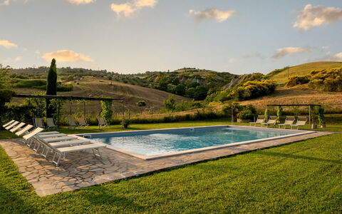 Podere Collelungo 14: Swimming Pool, Hill, Eco Hotel, Mountain Range, Outdoor Furniture, Resort, Farmhouse, Estate, Backyard, Landscaping