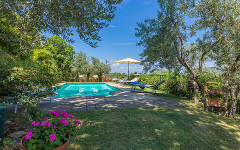 Casa del Sole 4: Blue, Shrub, Garden, Landscaping, Estate, Yard, Backyard, Eco Hotel, Lawn