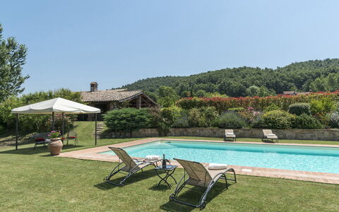 Casale al Doglio 6+1: Swimming Pool, Farmhouse, Eco Hotel, Resort, Estate, Garden, Hacienda, Cottage, Villa, Landscaping