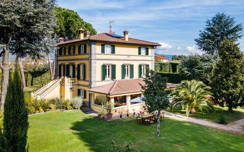 Villa Luigina 8: Home, House, Residential Area, Shrub, Estate, Garden, Mansion, Landscaping, Villa, Balcony
