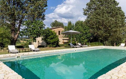 Podere Madonna di Mezzo 6: Estate, Garden, Landscaping, Farmhouse, Lawn, Hacienda, Backyard, Villa, Yard, Swimming Pool