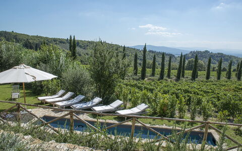 Villa delle Upupe 8: Landscape, Plantation, Hill Station, Landscaping, Agriculture, Evergreen, Chaparral