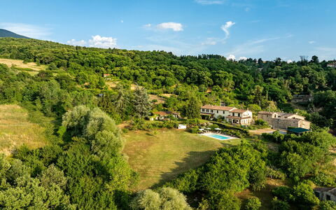 Casale le Conce 6: Tree, Vegetation, Rural Area, Estate, Forest, Hill Station, Meadow, Eco Hotel, Pasture, Plantation