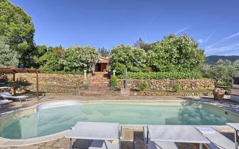 Virginia 8: Swimming Pool, Resort, Outdoor Furniture, Backyard, Hacienda, Eco Hotel, Garden, Estate, Shade, Landscaping