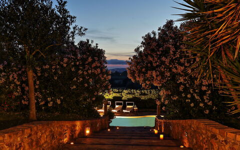 Virginia 8: Dusk, Lighting, Evening, Night, Sunset, Landscape Lighting, Swimming Pool, Afterglow, Sunrise, Garden