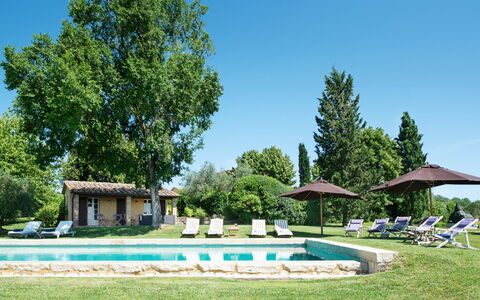 Podere Gragnano 12: Tree, Grass, Shrub, Land Lot, Lawn, Garden, Home, Estate, Cottage
