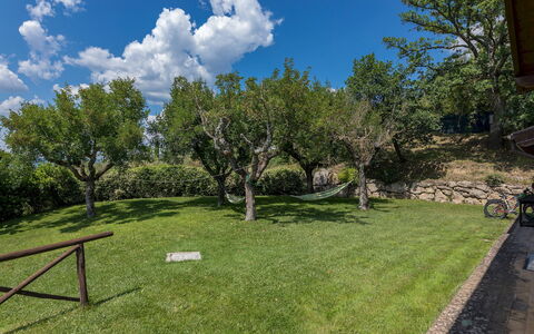 Il Casale del Nonno 8+2: Tree, Landscape, Shrub, Land Lot, Plain, Garden, Lawn, Meadow, Shade