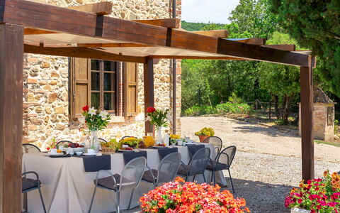 Terripi 10: Shade, Furniture, Garden, Flowerpot, Outdoor Structure, Outdoor Table, Patio, Outdoor Furniture, Pergola, Awning