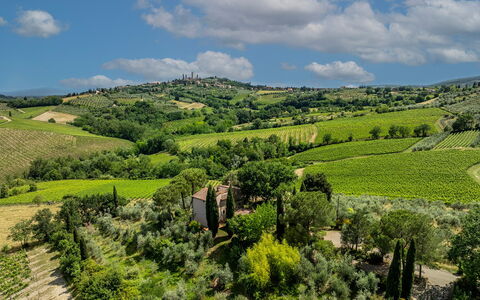 Villa Caterina 8: Natural Landscape, Landscape, Rural Area, Plain, Grassland, Plantation, Land Lot, Field, Agriculture, Hill Station