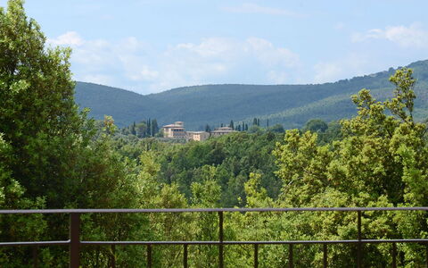 L'Ovile 8: Tree, Nature, Mountainous Landforms, Natural Environment, Vegetation, Hill, Mountain, Highland, Landscape, Hill Station