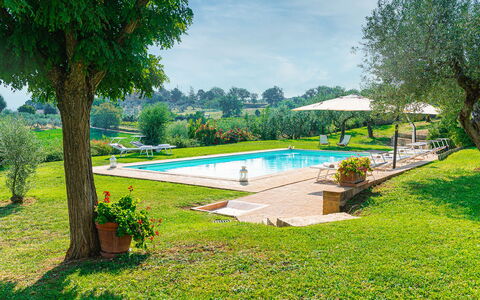 Villa di Morice 14: Swimming Pool, Garden, Resort, Lawn, Estate, Hacienda, Eco Hotel, Landscaping, Shade, Backyard