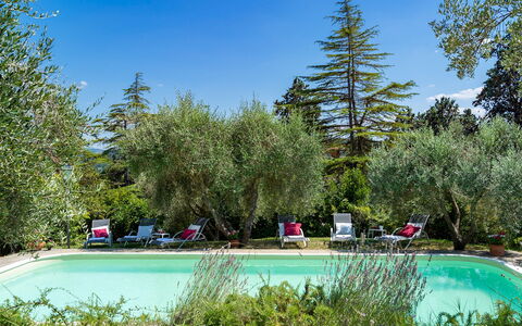 Villa Fiorentini 10: Shrub, Garden, Hacienda, Landscaping, Estate, Yard, Backyard, Outdoor Furniture, Shade, Villa