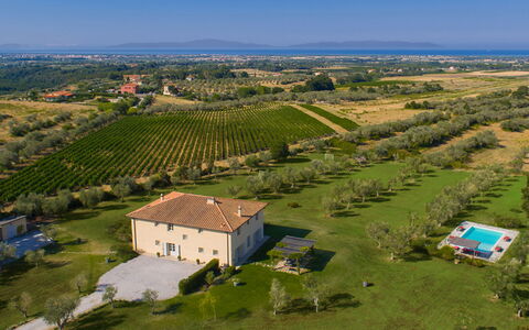 Villa Il Meluccio 12: Grass, Plain, Landscape, Grassland, Rural Area, Land Lot, Field, Plantation, Estate, Meadow