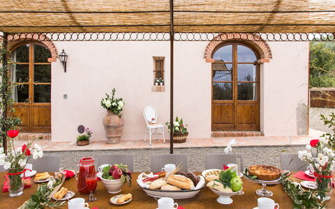 Dimora San Germano 14: Furniture, Table, Flowerpot, Chair, Houseplant, Restaurant, Kitchen & Dining Room Table, Food, Hacienda, Tablecloth