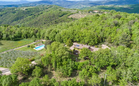 La Cerqua 8: Tree, Natural Environment, Vegetation, Landscape, Rural Area, Bird'S-Eye View, Land Lot, Forest, Hill Station, Plantation