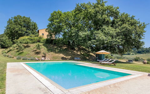 Casale Piattini 10: Swimming Pool, Garden, Estate, Farmhouse, Landscaping, Lawn, Hacienda, Backyard, Shade, Yard