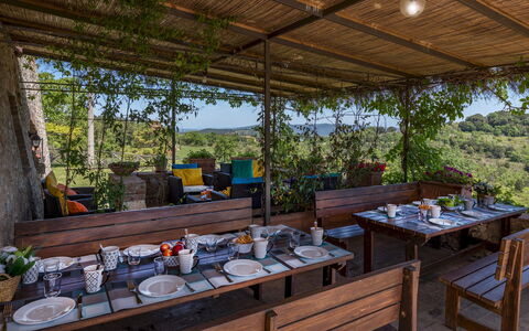 Podere San Ansano 14+2: Furniture, Table, Restaurant, Outdoor Furniture, Outdoor Table, Chair, Kitchen & Dining Room Table, Eco Hotel, Food, Shade