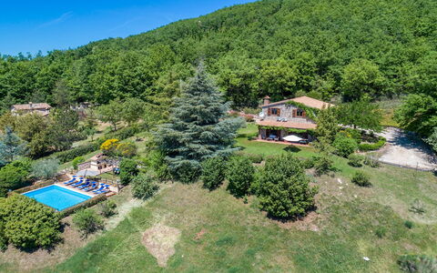 Villa Paola 6: Landscape, Rural Area, Estate, Hill Station, Forest, Eco Hotel, Bird'S-Eye View, Jungle, Plantation, Landscaping