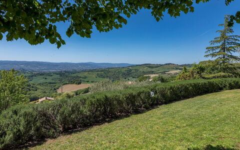 Villa Mila 6: Sky, Tree, Green, Natural Environment, Grass, Nature, Leaf, Hill, Vegetation