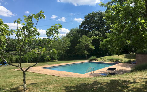 Villa Carmeli 12+2: Swimming Pool, Tree, Shade, Garden, Backyard, Lawn, Landscaping, Yard, Park, Resort