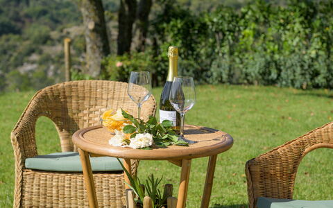 Casale Tavernelle 6: Furniture, Outdoor Furniture, Chair, Table, Outdoor Table, Wicker, Garden, Wood Stain, Patio, Coffee Table