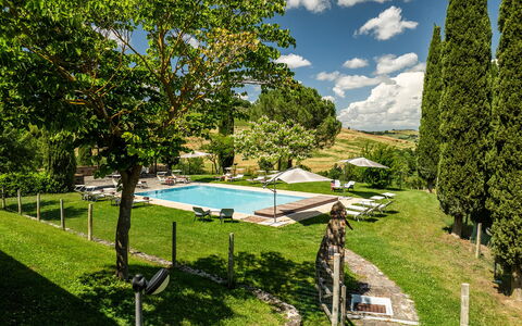 Le Colombelline 12: Swimming Pool, Garden, Leisure, Lawn, Estate, Outdoor Furniture, Sunlounger, Landscaping, Villa, Park
