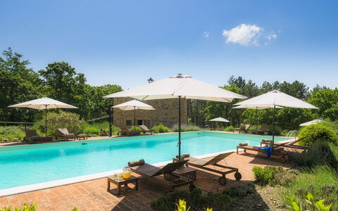Podere Santa Croce 10: Swimming Pool, Shrub, Outdoor Furniture, Garden, Resort, Umbrella, Eco Hotel, Shade, Estate, Landscaping