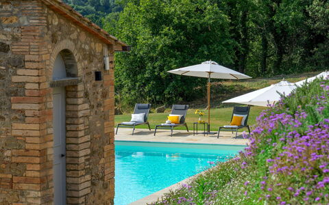 Villa Il Pozzo 14: Shrub, Swimming Pool, Estate, Garden, Cottage, Hacienda, Farmhouse, Landscaping, Outdoor Furniture, Villa