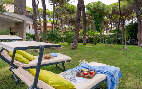 La Villa in Pineta 10: Furniture, Outdoor Furniture, Shade, Garden, Leisure, Lawn, Chair, Sunlounger, Outdoor Table, Yard