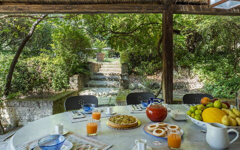 Casale le Querce di Cetona 8: Shrub, Furniture, Garden, Outdoor Furniture, Chair, Shade, Backyard, Landscaping, Outdoor Table, Kitchen & Dining Room Table