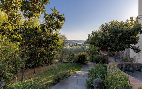 Villa Treggiaia 12+2: Vegetation, Shrub, Landscape, Plant Community, Garden, Sunlight, Landscaping, Botanical Garden, Chaparral
