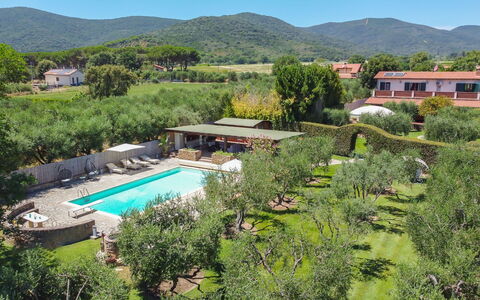 Villa Castiglione 9: Resort, Swimming Pool, Eco Hotel, Garden, Hacienda, Estate, Farmhouse, Landscaping, Shade, Villa