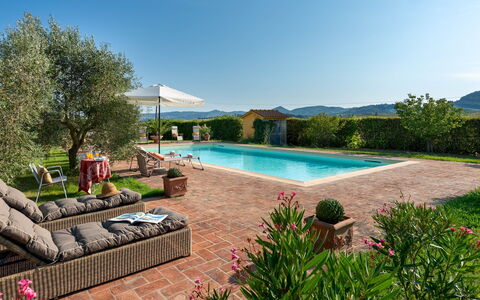 Villa Allodola 12: Shrub, Flowerpot, Home, Garden, Hacienda, Houseplant, Swimming Pool, Estate, Farmhouse, Eco Hotel