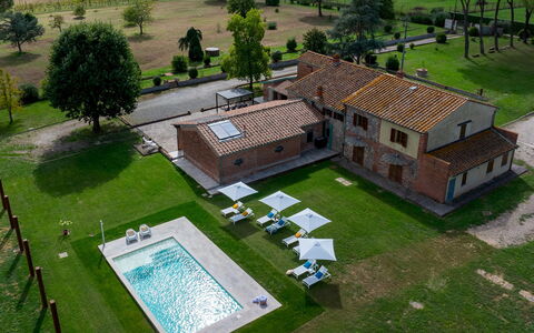 Tenuta Francigena 8: Estate, Lawn, Hacienda, Yard, Villa, Mansion, Farmhouse, Swimming Pool, Backyard, Park