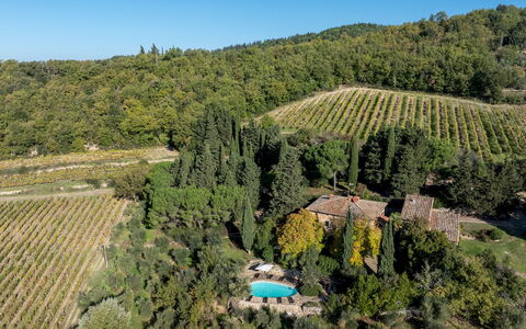 Castellare in Poggio 10: Vegetation, Landscape, Rural Area, Land Lot, Plantation, Estate, Village, Garden, Landscaping, Eco Hotel