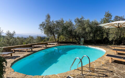 Castellare in Poggio 10: Blue, Swimming Pool, Outdoor Furniture, Landscaping, Shade, Resort, Eco Hotel, Backyard, Villa