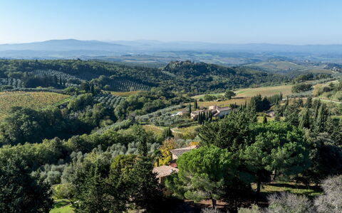 Castellare in Poggio 10: Tree, Natural Environment, Vegetation, Hill, Natural Landscape, Landscape, Highland, Ecoregion, Plant Community, Hill Station
