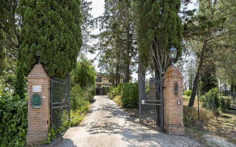 Podere Casanovina 12: Shrub, Garden, Gate, Estate, Driveway, Landscaping, Hacienda, Evergreen, Fence